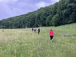 IMG_5305