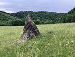 IMG_5312