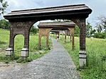 IMG_5315