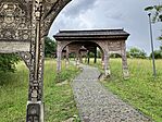 IMG_5316