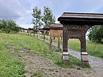 IMG_5319