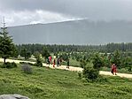 IMG_5354