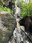 IMG_5367