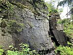 IMG_5371