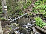 IMG_5370