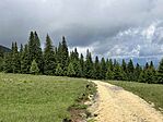 IMG_5379