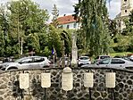 IMG_5399