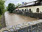 IMG_5415