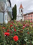 IMG_5417