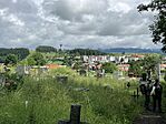 IMG_5434
