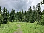 IMG_5441
