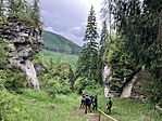 IMG_5444