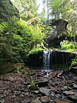 IMG_20240610_103248