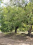 IMG_20240601_093344