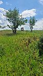 IMG_20240605_130655