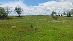 IMG_20240605_130732