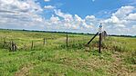 IMG_20240605_133733