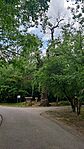 IMG_20240605_153300