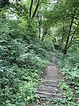 IMG_1441