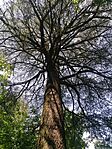 IMG_20240608_140036