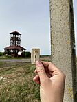 IMG_1101