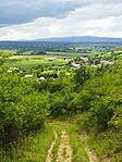 IMG_20240601_154149.jpg
