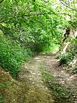 IMG_20240601_151914.jpg