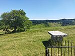 IMG_20240624_111423.jpg