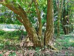 IMG_20240625_144303.jpg