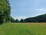 IMG_20240625_144741.jpg