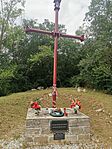 IMG_20240615_113541