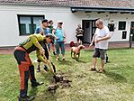 IMG_20240622_114916