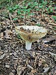 IMG_20240623_174045
