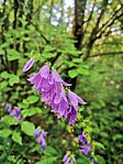IMG_20240623_174321