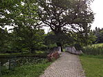 Kürti Arborétum-2