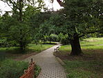 Kürti Arborétum-3