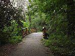 Kürti Arborétum-5
