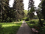 Kürti Arborétum-8