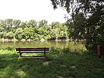 Kürti Arborétum-10