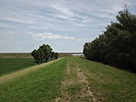 Az M44 autóút Tisza-hídja-1