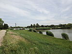 Ókécskei-Holtág-Tiszakécske-1