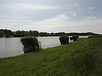 Ókécskei-Holtág-Tiszakécske-2