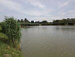 Ókécskei-Holtág-Tiszakécske-3