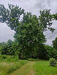 IMG_20240603_141400