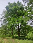 IMG_20240603_141453