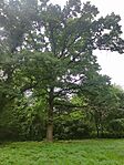 IMG_20240603_141600