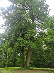 IMG_20240603_141631