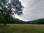 IMG_20240605_084126