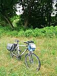 IMG_20240605_084205