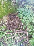 IMG_20240605_083713